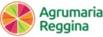 Agrumaria Reggina è l’azienda italiana specializzata in soluzioni su misura per i settori del Food & Beverage e Flavour & Fragrance.
Abbiamo sempre creduto nella nostra storia, nelle nostre idee e nella nostra passione per il mondo della frutta, valorizzando il nostro know-how ed investendo costantemente in ricerca e sviluppo. Oggi, siamo uno dei maggiori partner nel campo degli ingredienti a base di frutta.
